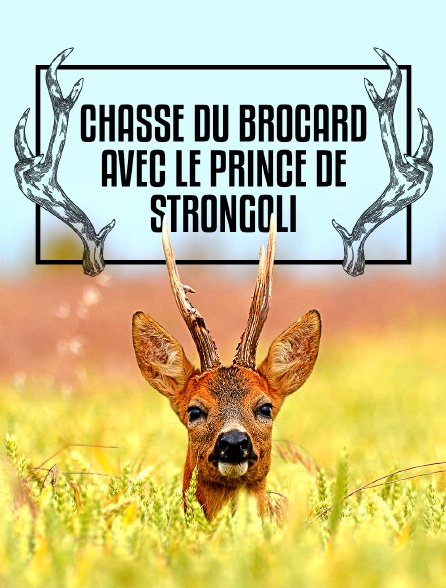 Chasse du brocard avec le prince de Strongoli