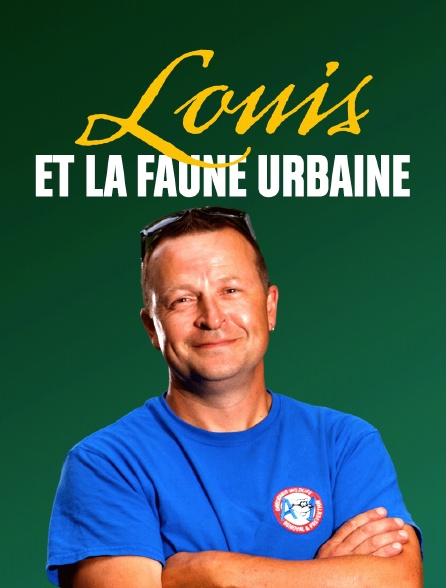 Louis et la faune urbaine