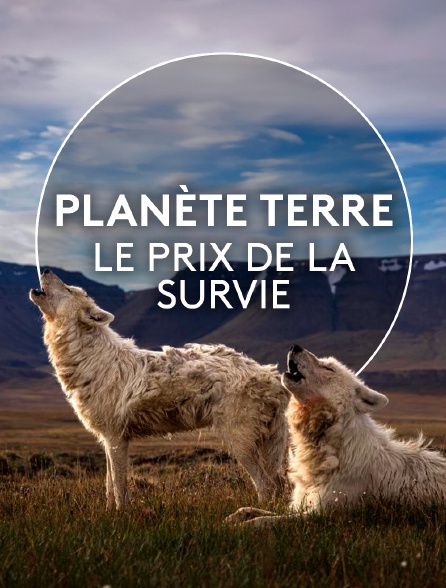 Planète Terre, le prix de la survie