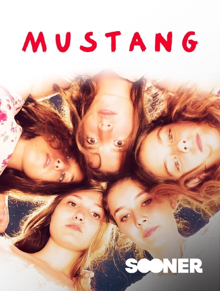 Sooner - Mustang