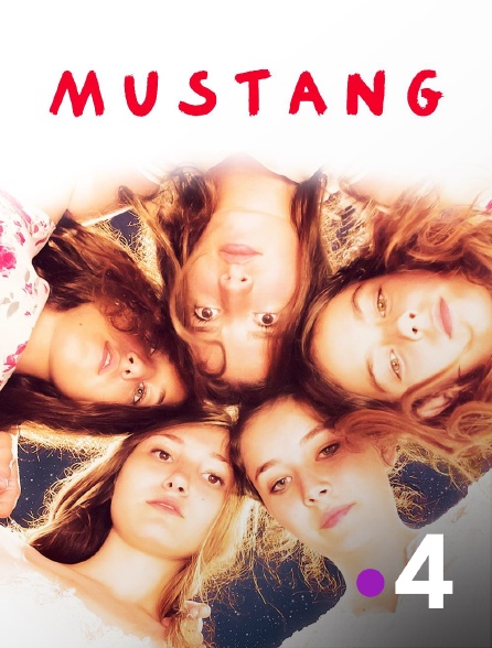 France 4 - Mustang