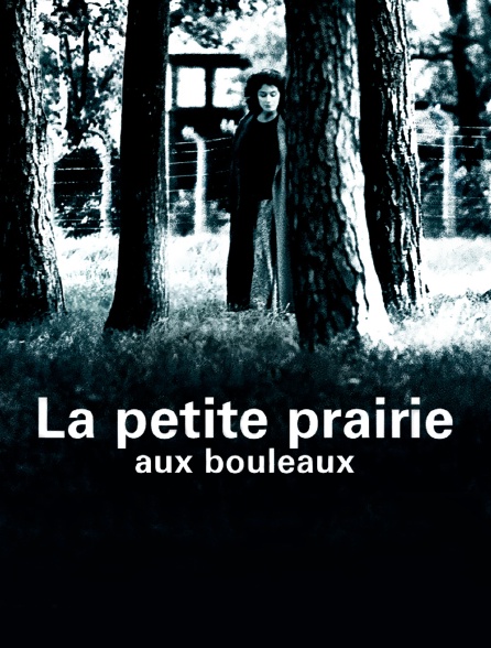 La petite prairie aux bouleaux