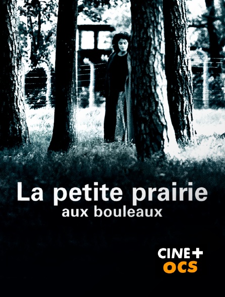 CINÉ Cinéma - La petite prairie aux bouleaux