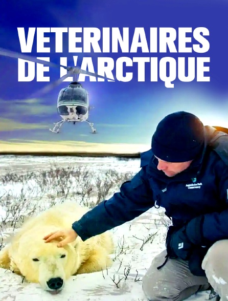 Vétérinaires de l'Arctique