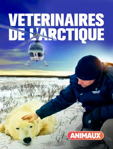 Animaux - Vétérinaires de l'Arctique en replay