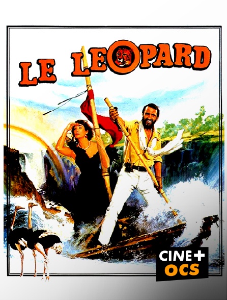 CINÉ Cinéma - Le léopard