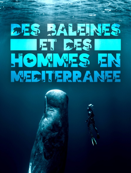 Des baleines et des hommes en Méditerranée