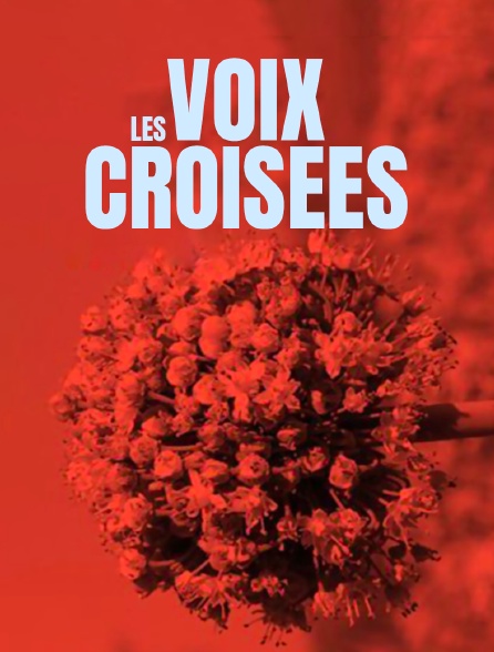 Les voix croisées