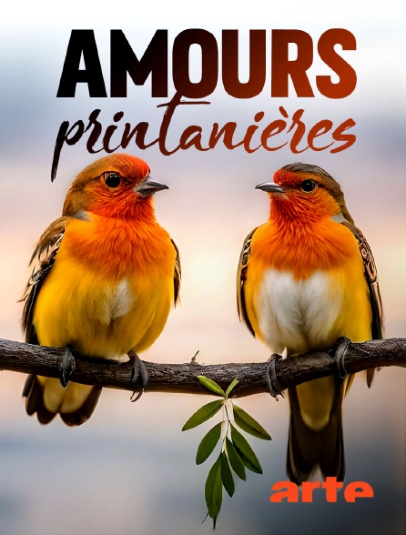 Arte - Amours printanières : Séduction et reproduction chez les animaux