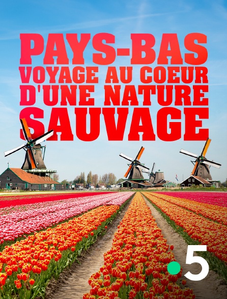 France 5 - Pays-Bas, voyage au coeur d'une nature sauvage
