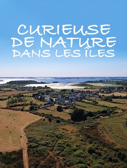 Curieuse de nature dans les îles