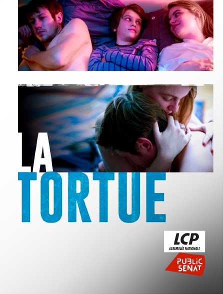 LCP Public Sénat - La tortue
