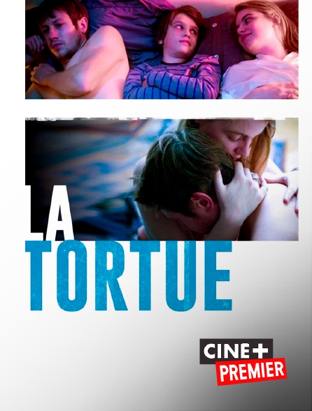 Ciné+ Premier - La tortue