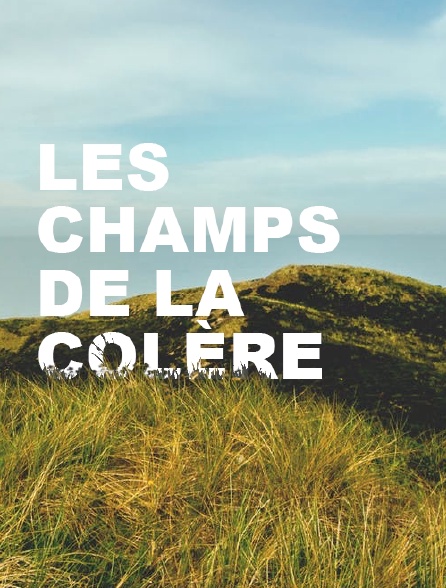 Les champs de la colère