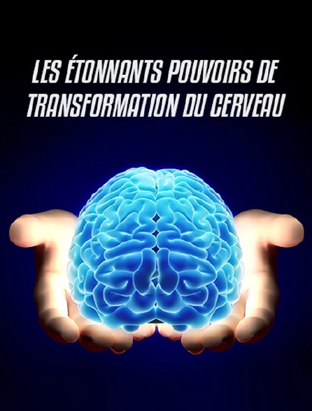 Les étonnants pouvoirs de transformation du cerveau