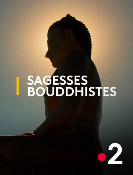France 2 - Sagesses bouddhistes