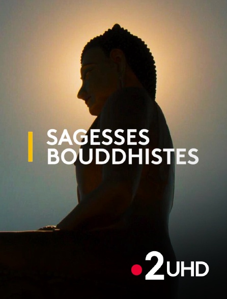 France 2 UHD - Sagesses bouddhistes