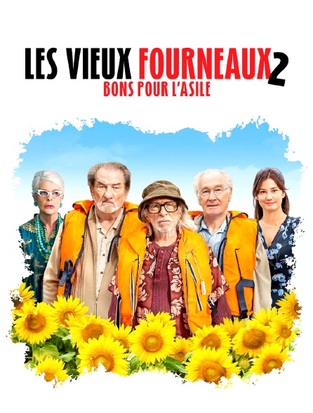 Les Vieux Fourneaux 2 : bons pour l'asile