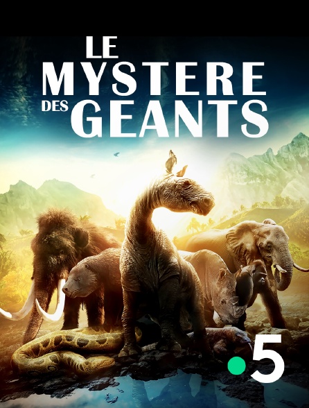 France 5 - Le mystère des géants disparus