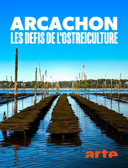 Arte - Arcachon : les défis de l'ostréiculture