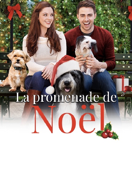 La promenade de Noël