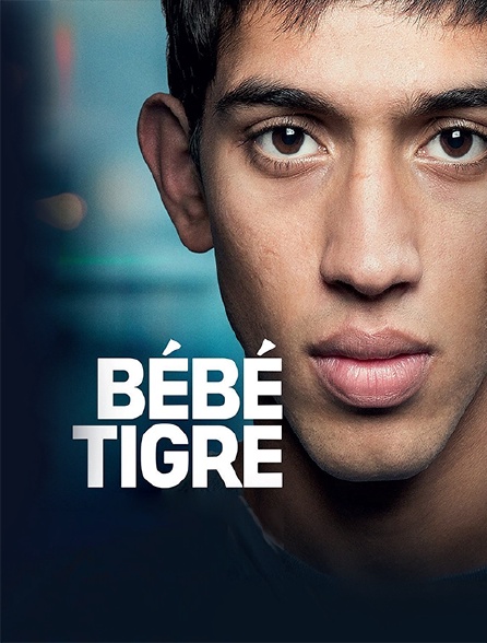 Bébé Tigre