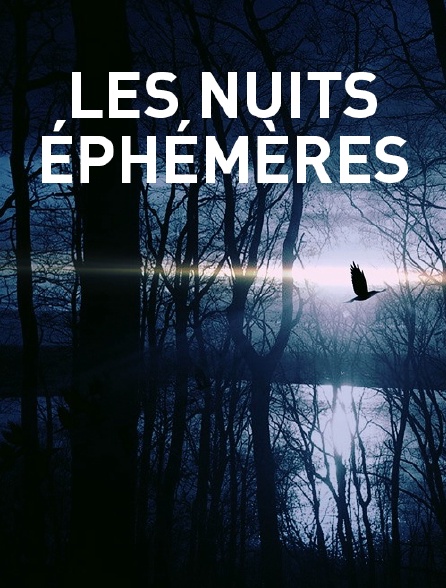 Les nuits éphémères