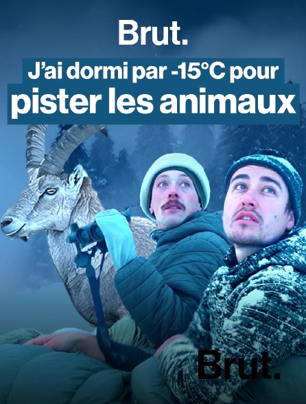 Brut - Avec le photographe des neiges sur les traces du roi de la montagne en replay