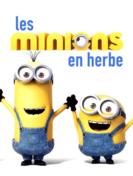 Les Minions en herbe