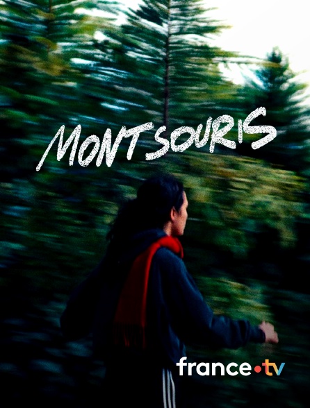 france.tv - Montsouris en replay