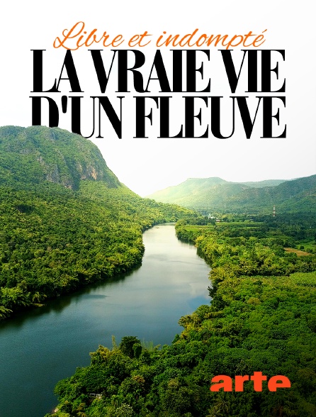 Arte - Libre et indompté : La vraie vie d'un fleuve