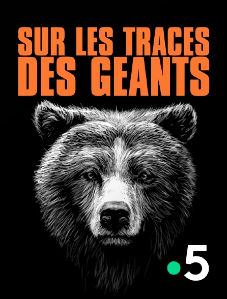 France 5 - Sur les traces des géants