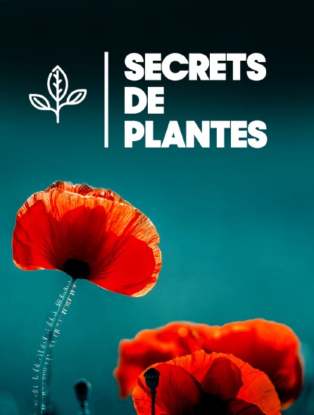 Secrets de plantes