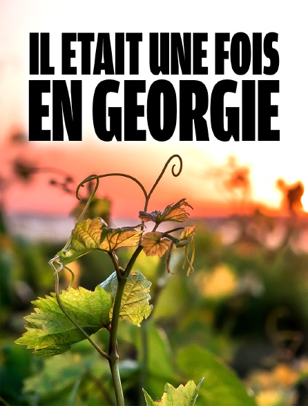 Il était une fois en Géorgie : Baia et ses vignes