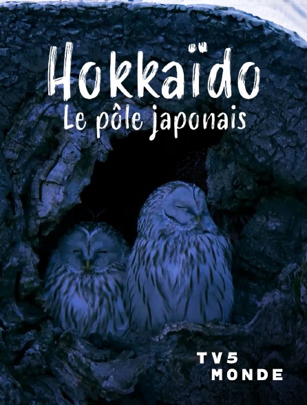 TV5MONDE - Hokkaido, le pôle japonais