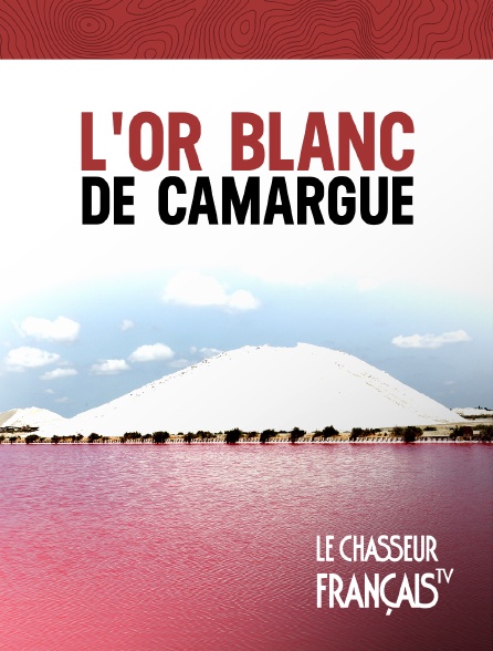 Le Chasseur Français - L'or blanc de Camargue