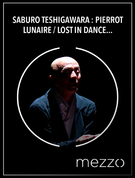 Mezzo - Saburo Teshigawara : Pierrot Lunaire / Lost in Dance - Ensemble intercontemporain