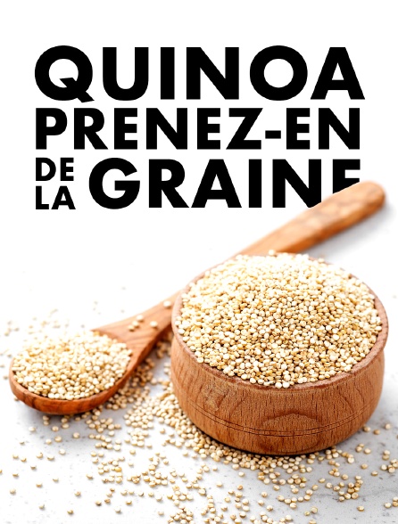 Quinoa, prenez-en de la graine