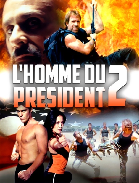 L'homme du président 2 : Mission spéciale