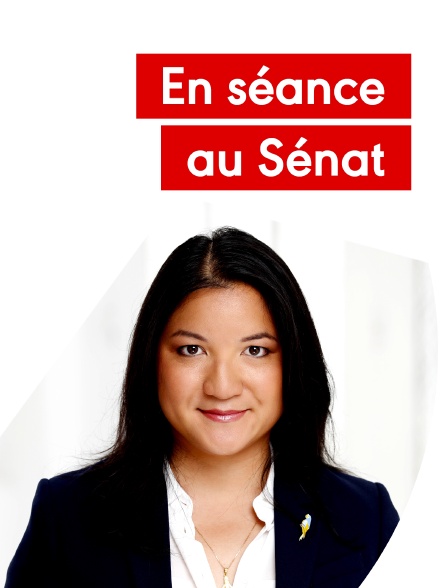 En séance au Sénat