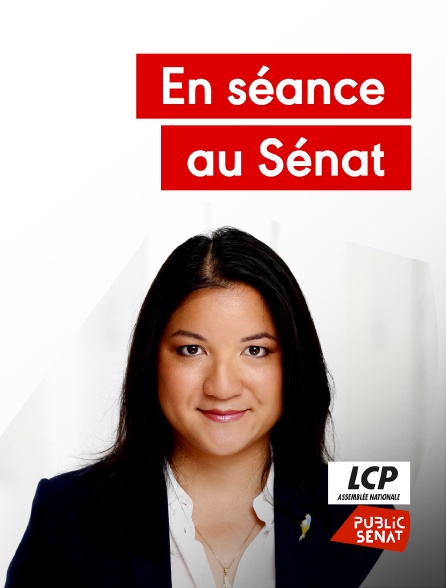 LCP Public Sénat - En séance au Sénat