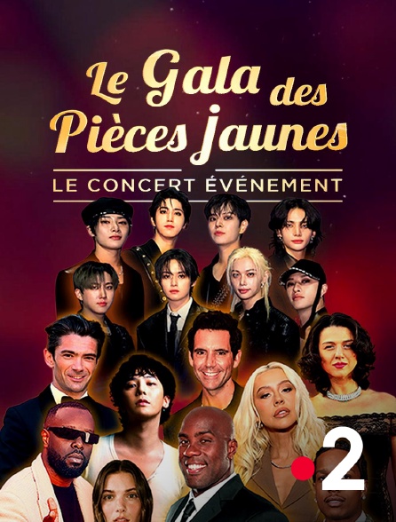 France 2 - Le gala des Pièces jaunes : le concert événement