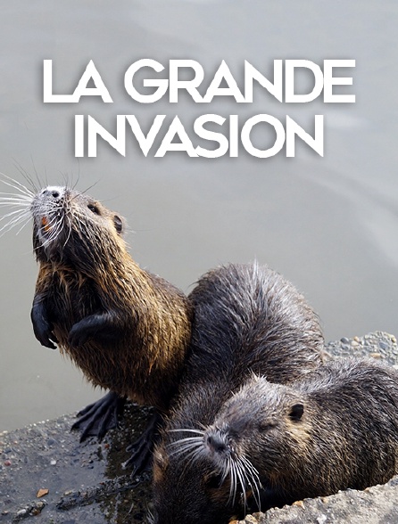 La grande invasion