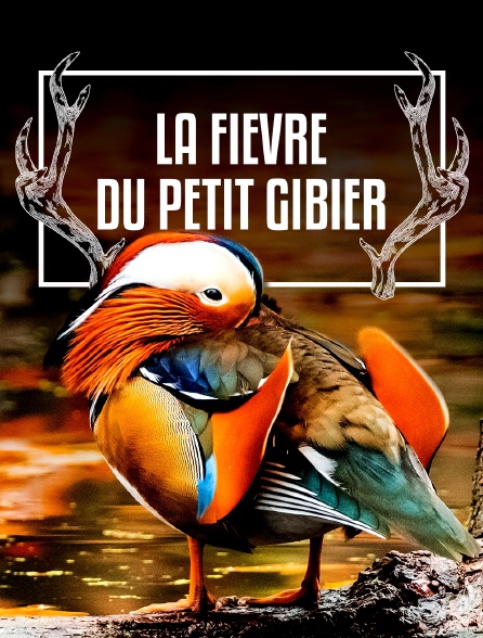 La fièvre du petit gibier