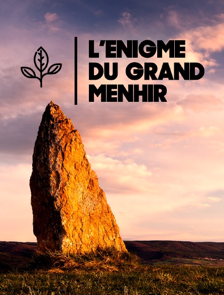 L'énigme du grand menhir