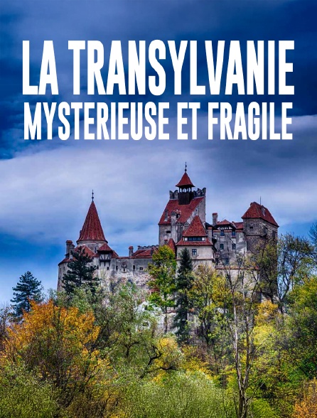 La Transylvanie: Mystérieuse et Fragile