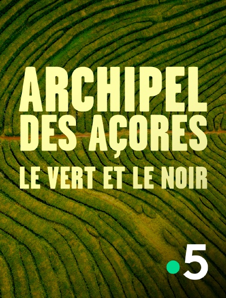 France 5 - Archipel des Açores - le vert et le noir