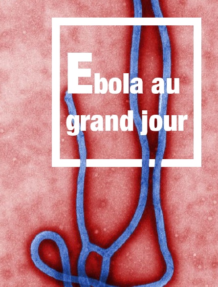 Ebola au grand jour