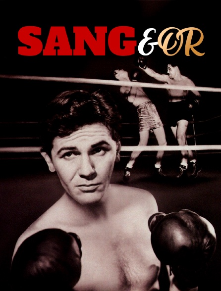 Sang et or