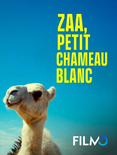 FilmoTV - Zaa, Petit Chameau blanc